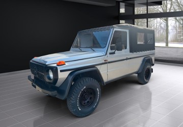 Mercedes-Benz G 230 78.625 km 85.680 &euro; Kiel 24116