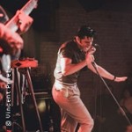 The Elvis Presley Show
